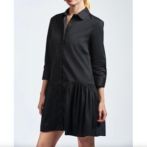 The Shirt by Rochelle Behrens the Drop Waist Shirt Dress